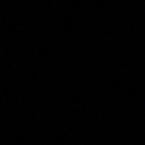 Meet your Posher, Phillip